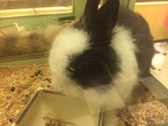 -龙猫仔乐园(惠福东路店)