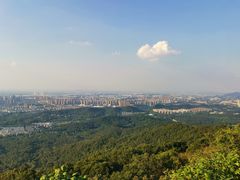 -紫金山山顶公园