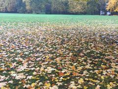 -滴血救世主教堂