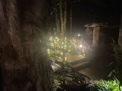 -夜间野生动物园