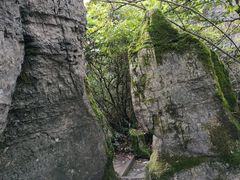 -山王坪喀斯特国家生态公园