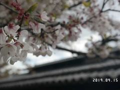 -醍醐寺