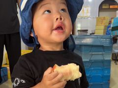 -老袁家蜜桃农场·阳山水蜜桃