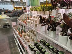 -KKV(深圳宏发大仟里店)