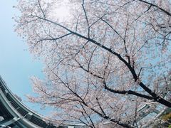 -上海南浦大桥长途旅游客运站