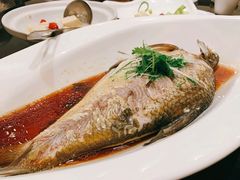 武昌鱼/清江边鱼-亢龙太子酒轩(东湖店)