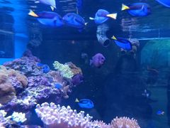 -上海海昌海洋公园