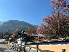 -天龙八部武侠城