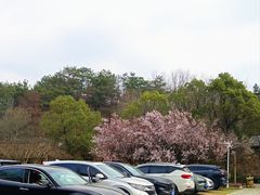 -木兰云雾山