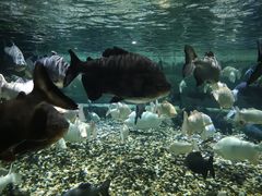 -成都浩海立方海洋公园