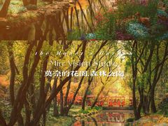 -上海共青森林公园