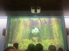 -珠海横琴国家地理探险家中心(创新方)