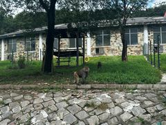 -哈尔滨北方森林动物园