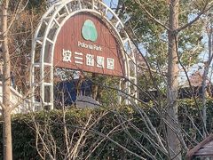 -金山农民画村-枫泾波兰倒置屋