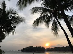 -巴拉湾海滩