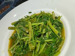 -雨后行菜(报慈北路店)