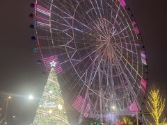 -南昌之星摩天轮