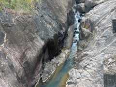 -广州白江湖森林公园