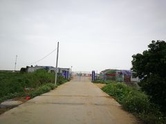 -南沙十九涌渔人码头-南门