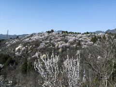 -白水寺森林公园