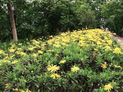 -桤木河湿地公园