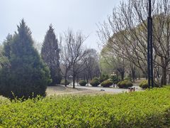 -二一九公园