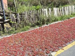 -叠溪松坪沟景区