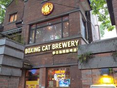 -Boxing Cat Brewery拳击猫精酿啤酒馆(永福店)