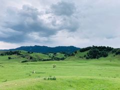-新疆那拉提国家旅游度假区