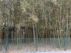 -宣武艺园