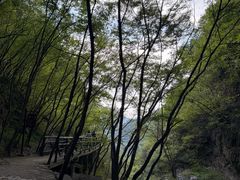-十渡东湖港风景区