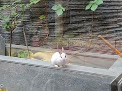 -毛辣果·贵州红酸汤牛肉火锅(西单店)