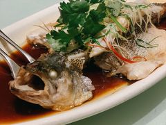 清蒸鲈鱼-尘香•传统川菜(创汇首座店)