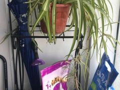 -新世界教育iVEE·英语日语西语(金桥校区)