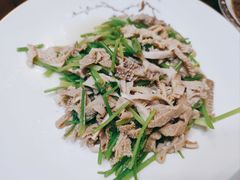 芫爆散丹-白魁老号饭庄(交道口店)