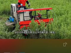 -裕和堂中医推拿艾灸(太古汇臻品店)