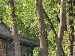 -一盏明灯全素斋(殊像寺店)
