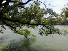 android_upload_pic-惠州西湖