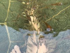 -苏州湾王焰温泉度假酒店