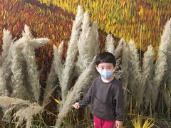 -三亚湾红树林国际会展中心(演出售票)