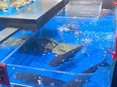 -炊江南·上海菜(国展华漕店)