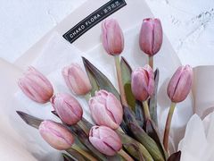 -ChaKo Flora ·茶子花艺 (市北店)