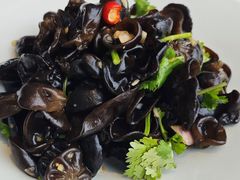 开胃黑木耳-羲和雅苑•北京烤鸭(平安国际金融中心店)