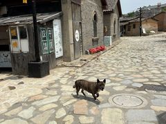 -清风小镇闯关东影视基地
