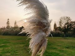 -白鹭湾湿地公园