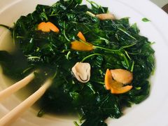 枸杞叶-黄埔华苑酒家(黄埔店)