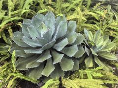 -碧桂园润杨溪谷温泉酒店