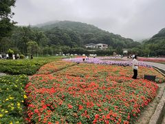 -广州市石门国家森林公园