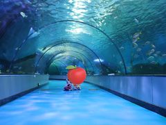 -泉城欧乐堡海洋极地世界