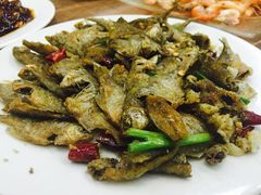 景区内江南水乡-梦江南